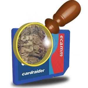 cardraider